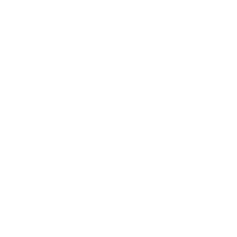 Logo CAOA Hyundai