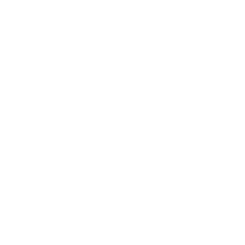 Logo MAN