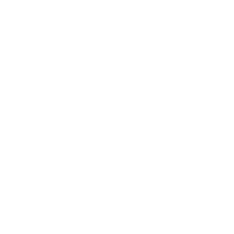 Logo Shineray