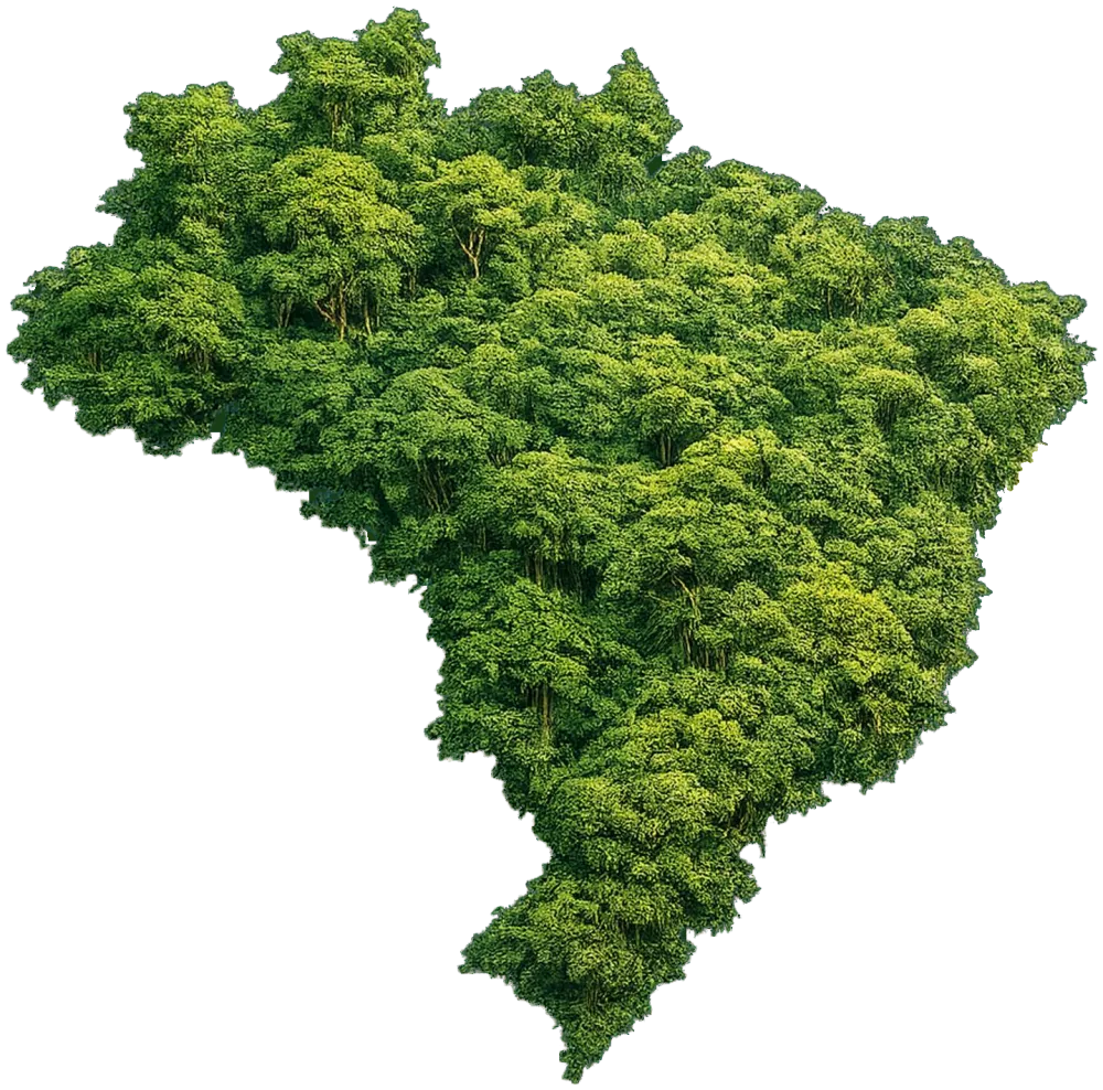 Mapa do Brasil formado por floresta, símbolo da VIN Brasil